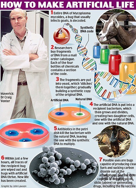 世界首个人造生命在美诞生 能自己生长繁殖
