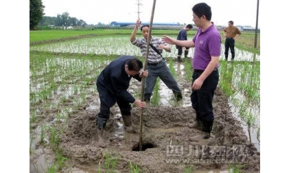 成都4天内现多处天坑 专家称与地震无关