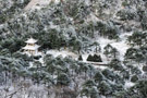 黄山雾凇  雾凇图片 可以当桌面壁纸的黄山雾凇风景