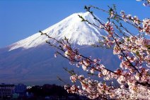 日本静冈地震 专家认为可能引发富士山重新喷发