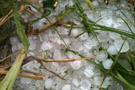 广东大风冰雹灾害 顺德区遭受冰雹灾害 广东雷雨大