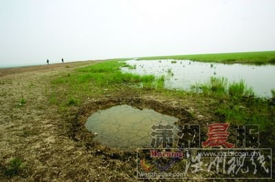 昨日，岳阳东洞庭湖，干裂的湖床上渔民挖的储水井。图/记者韩敬宇