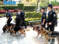 深圳不再欢迎你 深圳警方“百日行动”清理农民工群