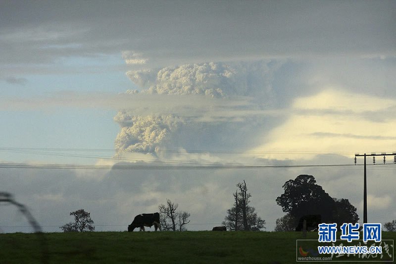 智利普耶韦火山喷发 浓烟、火山灰殃及邻国