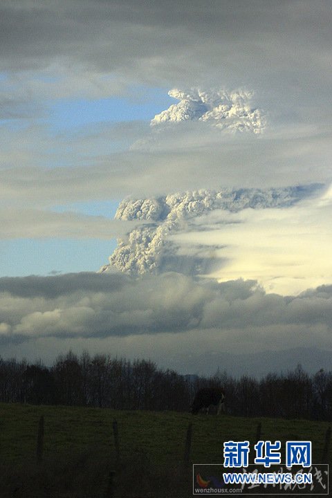 智利普耶韦火山喷发 浓烟、火山灰殃及邻国