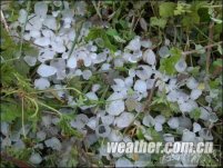 甘肃20日遭雷雨冰雹袭击