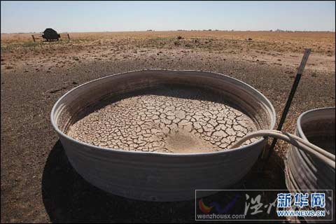 美国南方草原遭遇百年来最严重旱情