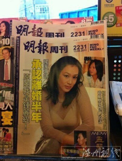 钟丽缇称离婚不涉及第三者 女尊男卑致感情破裂