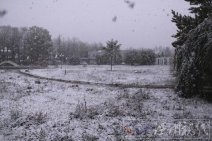 新疆昭苏天气预报 今日迎来今冬首场大雪