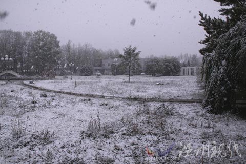 新疆昭苏地区迎来今冬首场大雪（组图）