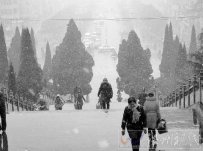 河南昨日迎来新年第一场雪 未来几天雨雪增多