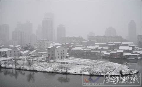 温州下雪了