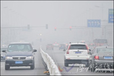 银川大雾弥漫出现雾凇 气象台首发红色预警