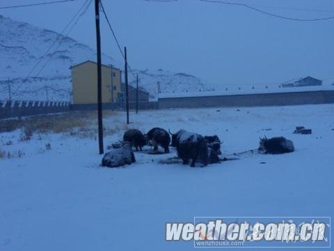 青海达日降雪或影响交通 有利降低火险