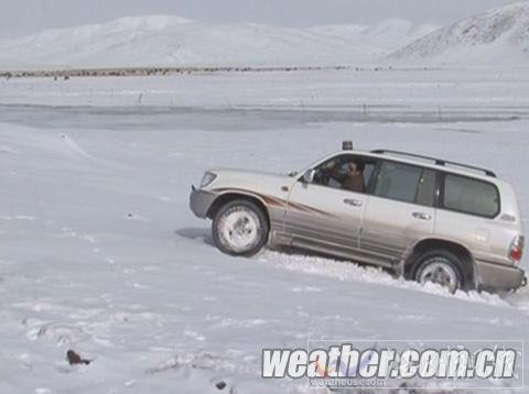 青海甘德县雪灾持续 6个牧委会道路完全封闭