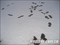 今天迎中国气象局世界气象开放日 北京有雨雪