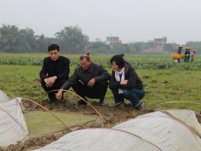 浙江已经春日阳光普照 福建却气温低迷到3月14日起气