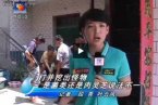 女记者误将自慰器认作肉灵芝 西安女记者发现太岁肉