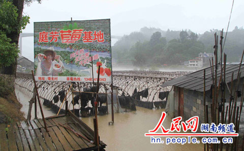 26日强降雨袭击湘西北 湖南已启动防汛四级响应