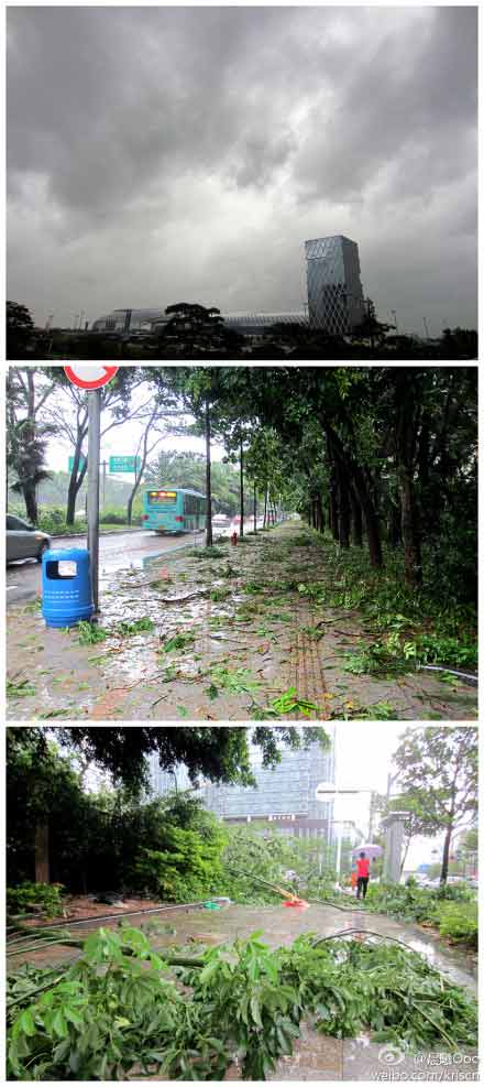 台风韦森特