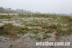 江西新余市强降雨 新余市区积水严重 江西新余市强