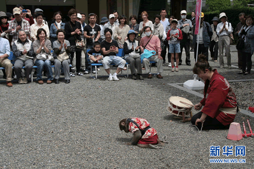 日本的耍猴表演