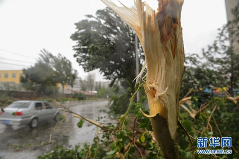 布拉万北上侵袭 吉林省多地遭遇强风雨