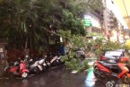 台风苏拉带来强降水 途径区域累积降雨可能超1米