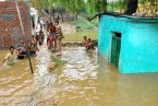 印度西部遭暴雨袭击 27人遇难数千人无家可归