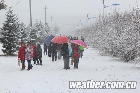 内蒙古大雪 内蒙古阿尔山地区昨日迎来入秋以来最大降雪