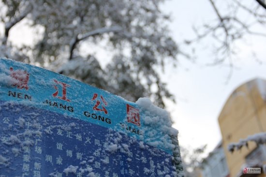 齐齐哈尔下雪了