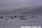 青海南部大雪不断 清水河积雪较深道路出现结冰