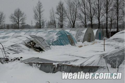 锡林浩特大雪