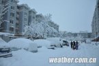 北京暴雪 11月4日北京入冬以来首场大雪延庆达暴雪降