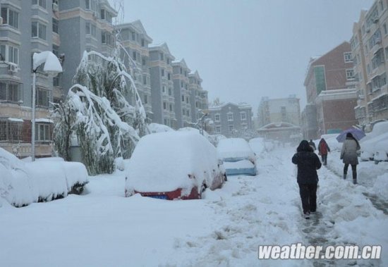 北京大雪 11月4日北京多地下大雪延庆佛爷顶降雪量最大51毫米