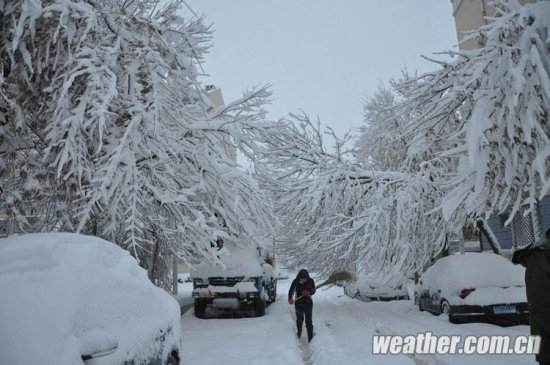 北京大雪 11月4日北京多地下大雪延庆佛爷顶降雪量最大51毫米