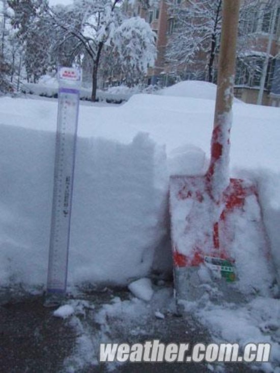 北京大雪 11月4日北京多地下大雪延庆佛爷顶降雪量最大51毫米