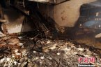 山西寿阳喜洋洋爆炸 山西寿阳县喜洋洋火锅店爆炸致