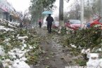 北京延庆暴雪11月4日暴雪没有化 延庆天气预报今天还