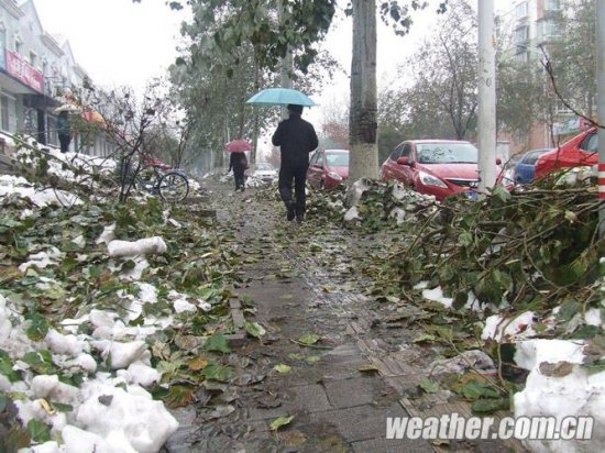 北京延庆暴雪图片