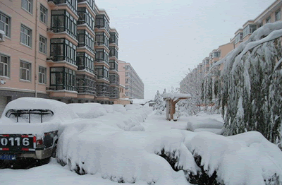 张家口蔚县暴雪 11月4日河北张家口蔚县大暴雪积雪