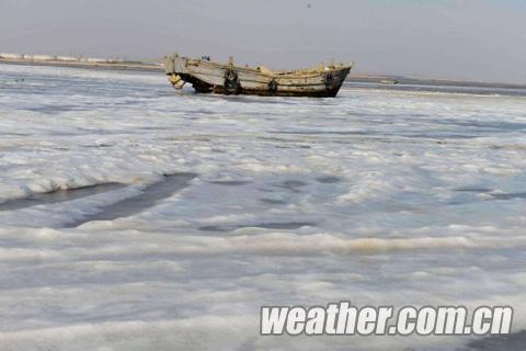 青岛胶州湾海冰