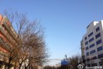 北京今日天气晴转阴 有北风最高气温为-3℃