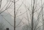 北京今天天气预报 2013年1月10日晚北京有轻雾北部山