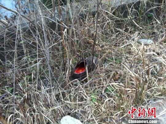 德阳三轮车翻入水渠致2人死亡