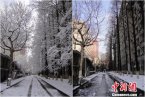 江苏雪灾 2013年2月江苏省雪灾灾情统计报告