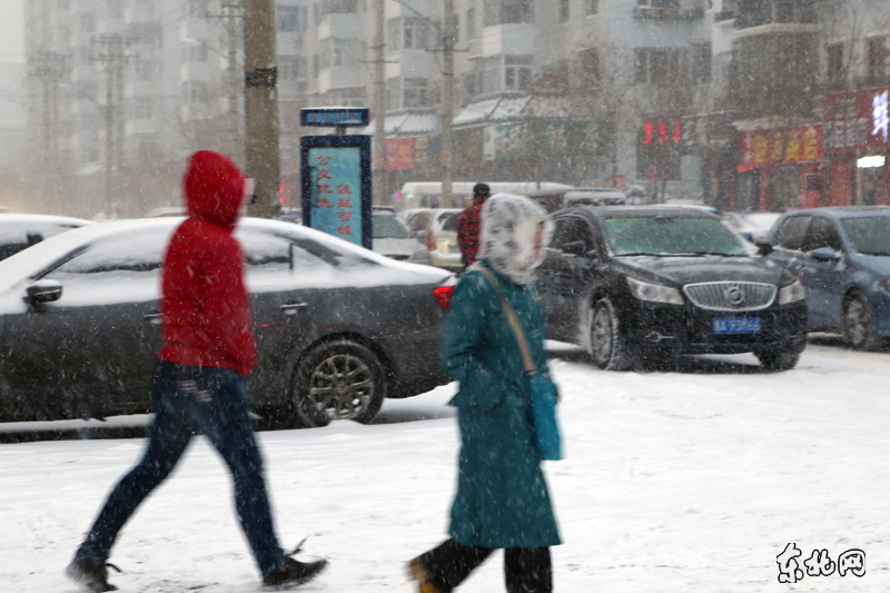 哈尔滨2月28日大雪