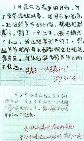 小学神作气疯老师