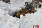 新疆伊犁雪崩 3月6日新疆伊犁巩乃斯山区218国道发生