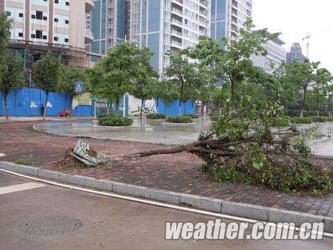 3日冰雹雷雨大风席卷玉林市 车棚被大风掀翻天空乌云蔽日